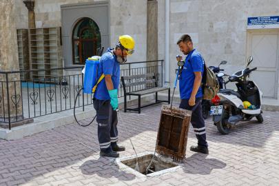 Vektörle mücadele aralıksız sürüyor