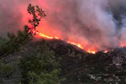 44 orman yangınıyla ilgili 6 tutuklama